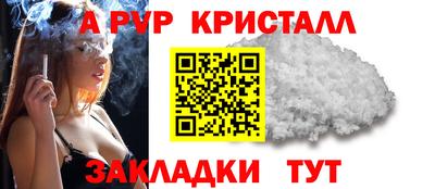 стафф Кимры