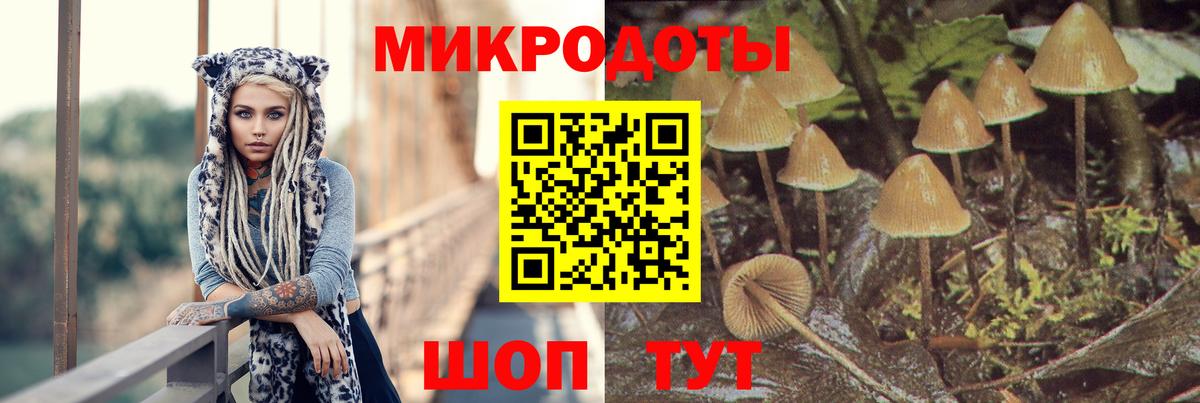 Комсомольск-на-Амуре  Галлюциногенные грибы мухоморы  купить наркотики цена  Вход с VPN 